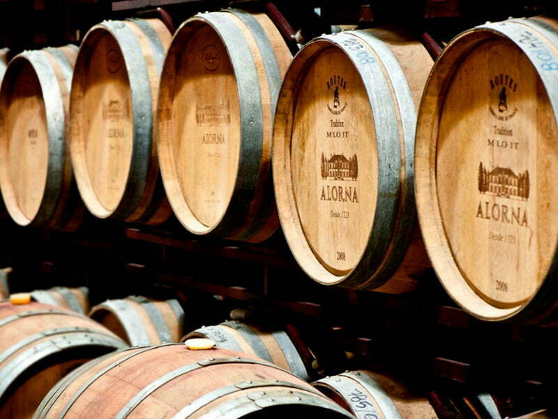 Vinhos Quinta da Alorna distribuídos pela Vinalda