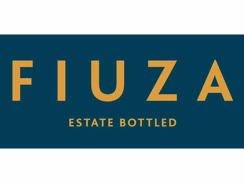 Vinhos Fiuza investem um milhão de euros na área da vinha