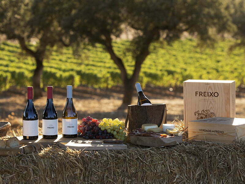 Herdade do Freixo apresenta primeiros vinhos