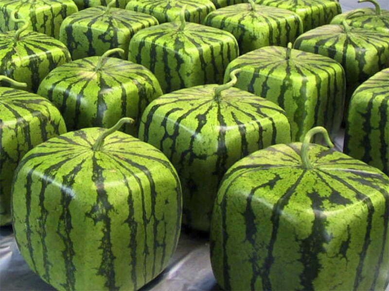 As 10 frutas mais caras do mundo