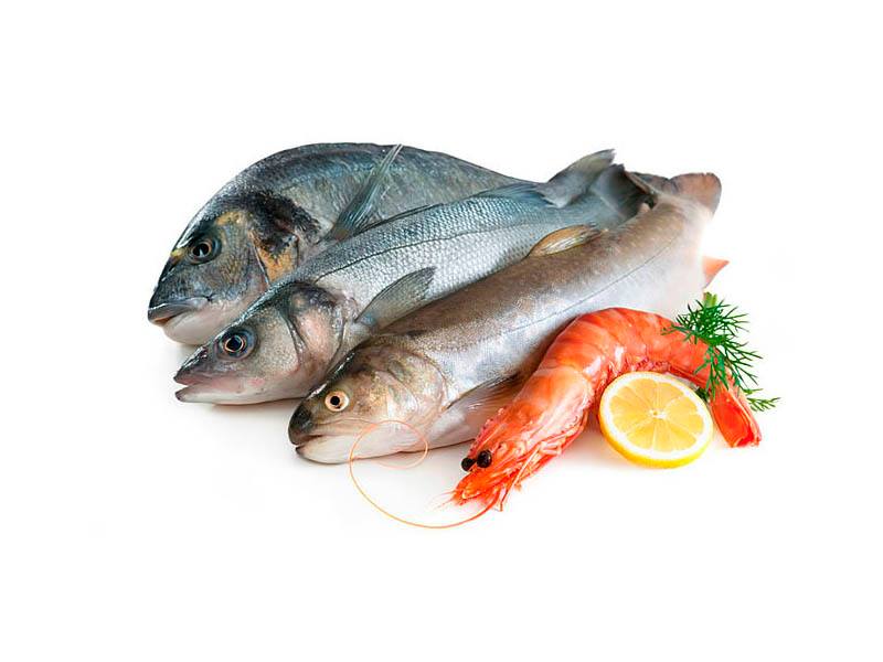 Valor do peixe aumenta 18% para 60 milhões de euros