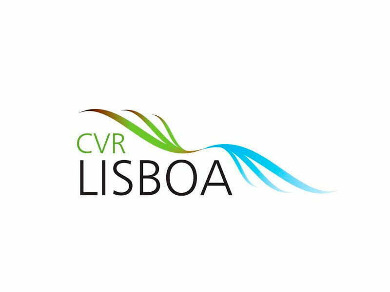 Casa Santos Lima no top 10 dos melhores produtores de vinho do mundo