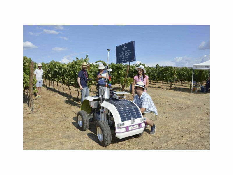 Symington testa robots na vinha
