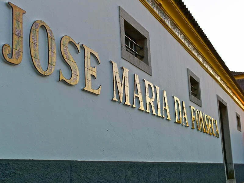 Vinhos da José Maria da Fonseca integram carta de vinhos da TAP