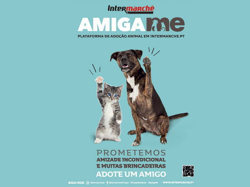 Intermarché lança plataforma de adoção animal