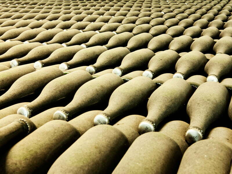 Certificação de vinhos tranquilos e espumantes DO Bairrada aumenta 8% em 2014