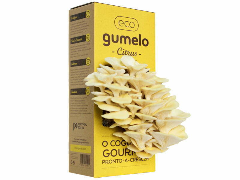 Gumelo continua a apostar na abertura a novos mercados