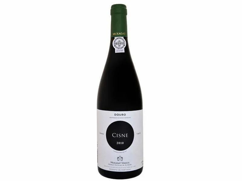 Muxagat lança Cisne 2010