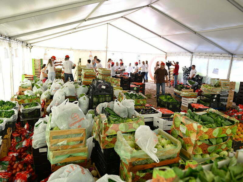Continente e Câmara Municipal de Lisboa distribuem produtos alimentares
