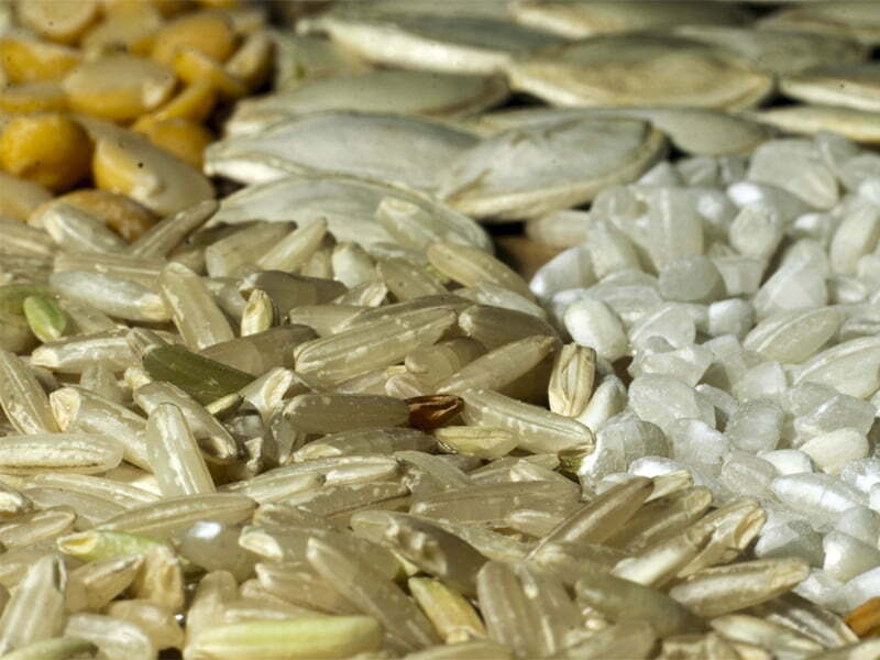 Cersul quer impulsionar mercado de cereais e oleaginosas em Portugal