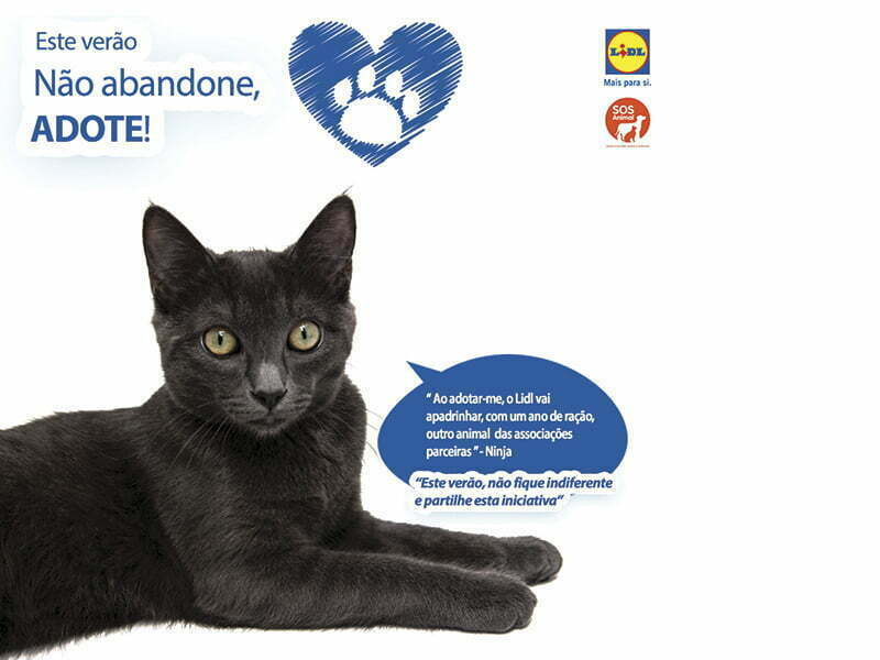 Lidl promove campanha de sensibilização contra o abandono de animais