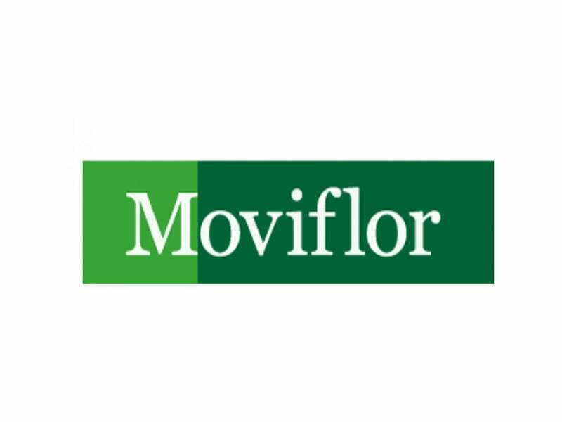 Moviflor inaugura loja em Coimbra