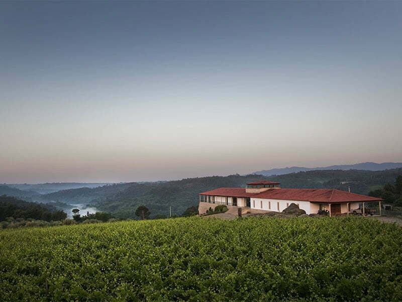 Quinta de Lemos premiada a nível internacional