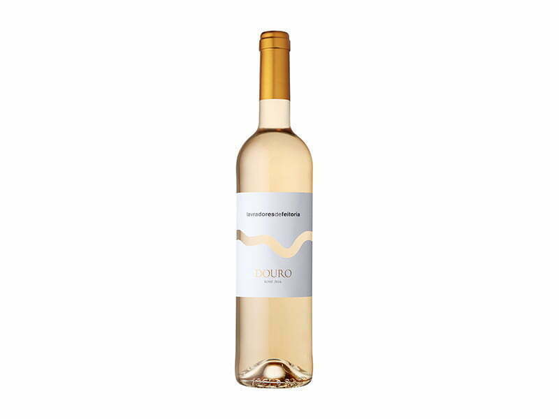 Lavradores de Feitoria Douro apresenta Rosé 2016
