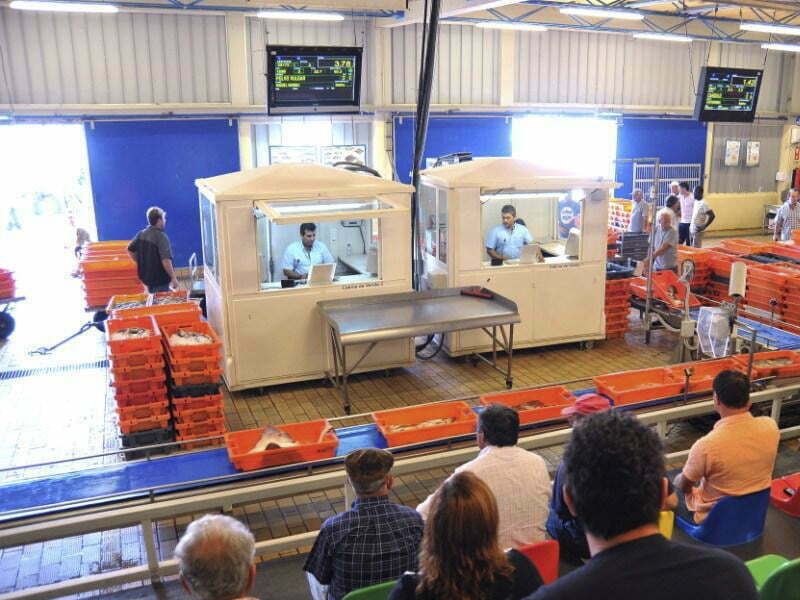 Schneider Electric desenvolve projeto de eficiência energética para a Docapesca