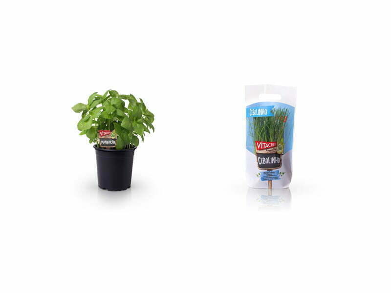 Vitacress apresenta nova gama de plantas aromáticas