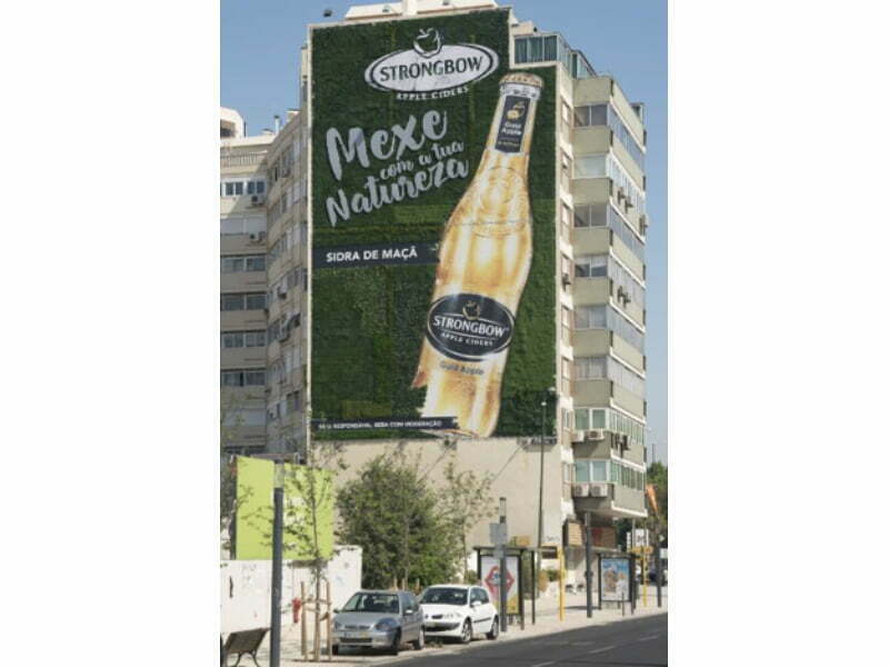 Strongbow planta jardim vertical em Lisboa