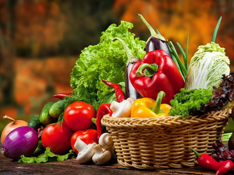 Produtos vegetarianos chegam a ser 104% mais caros do que as receitas tradicionais