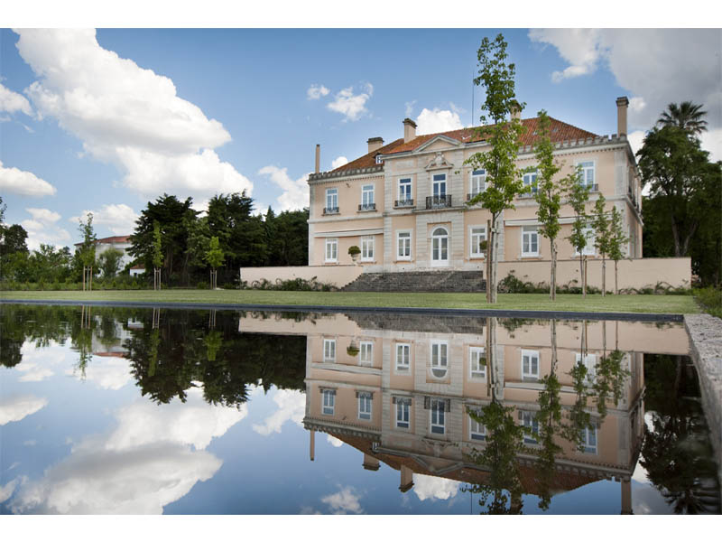 Quinta da Alorna destaca vindima excecionalmente rica