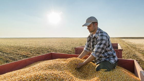 excedente comercial agroalimentar