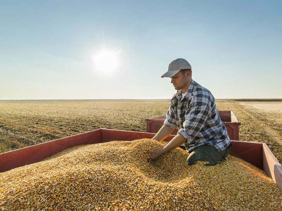 Seminário discute futuro digital do sector agroalimentar na Agroglobal