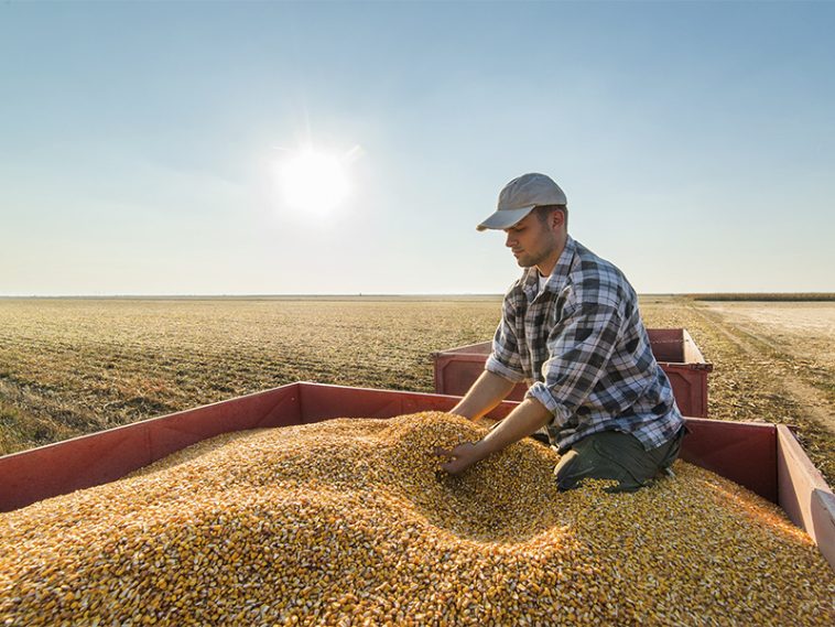 excedente comercial agroalimentar