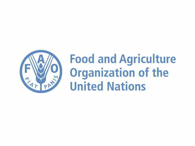 Aumentam os preços mundiais dos alimentos