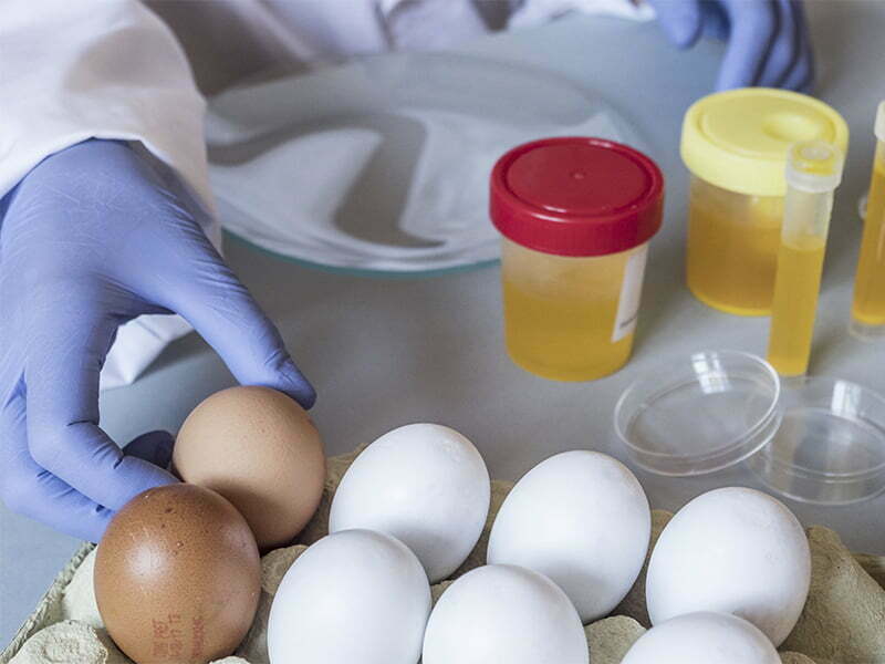 Bruxelas cria centro para lutar contra a fraude alimentar