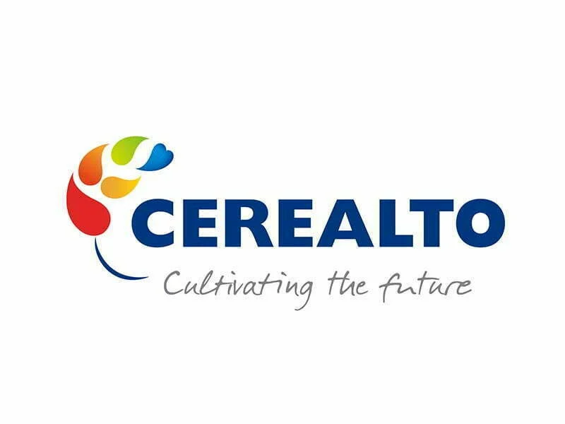 Cerealto quase duplica a faturação em 2017