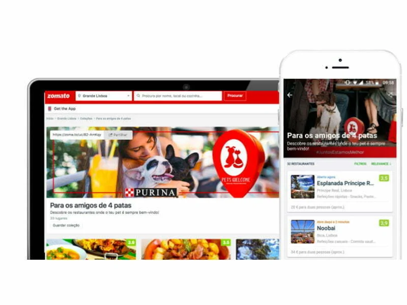 Zomato divulga os restaurantes pet friendly em Lisboa e no Porto