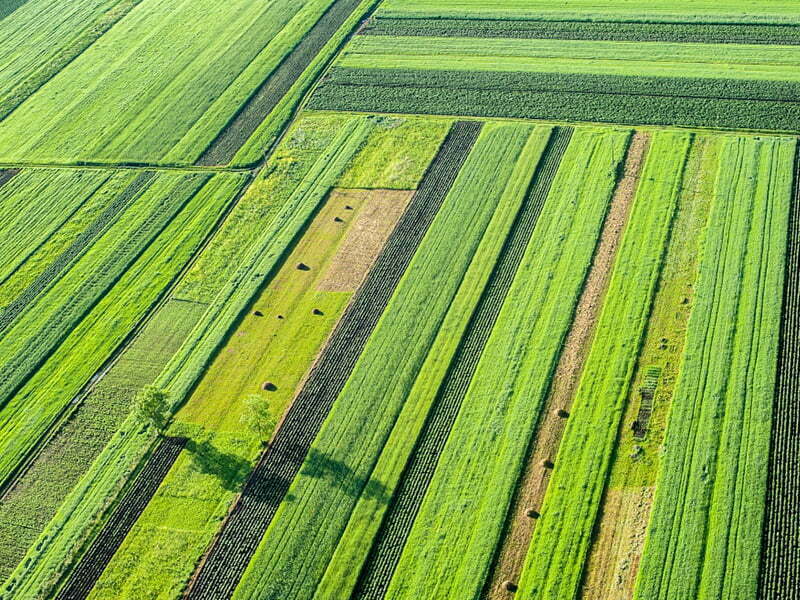 População portuguesa desconhece realidade agrícola