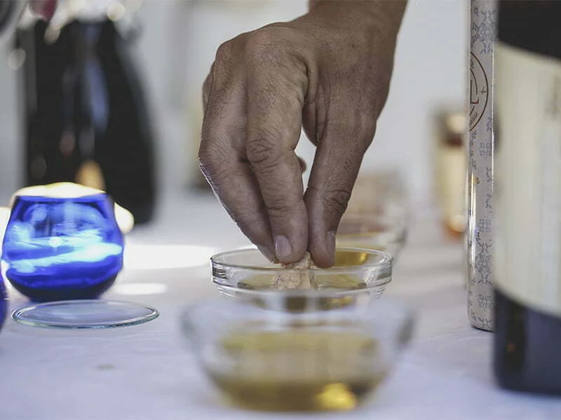 CEPAAL convida Canadá a descobrir o azeite do Alentejo