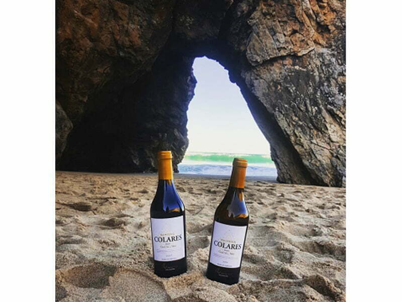 Vinhos Casal Sta Maria distinguidos na Wine Advocate e na Wine Spectator