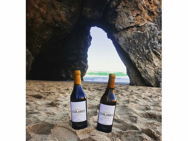 Vinhos Casal Sta Maria distinguidos na Wine Advocate e na Wine Spectator