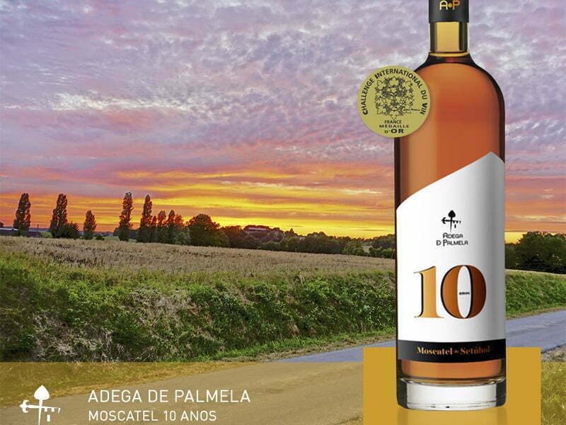 Challenge International du Vin premeia Adega de Palmela