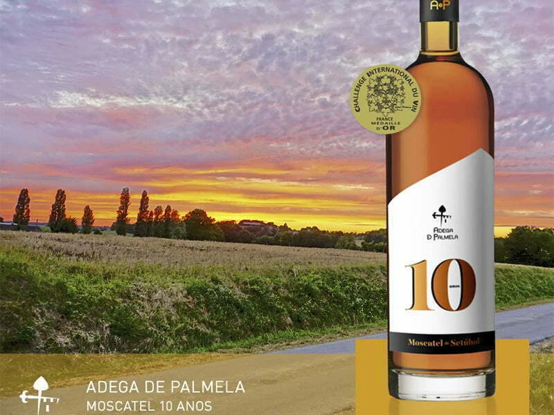 Challenge International du Vin premeia Adega de Palmela