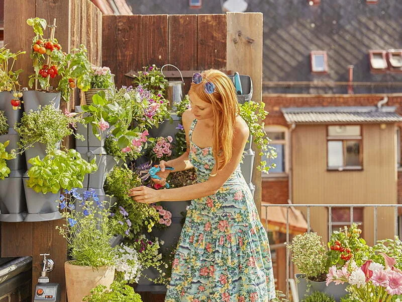 Gardena apresenta jardim vertical com City Gardening