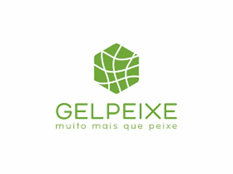 Gelpeixe | Os Nossos Heróis – Rui Rodrigues