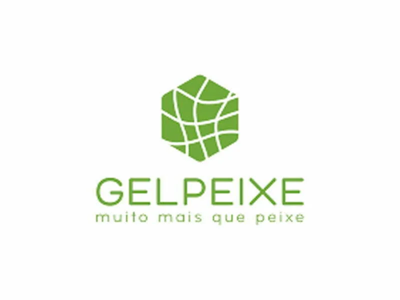 Gelpeixe | Os Nossos Heróis – Rui Rodrigues