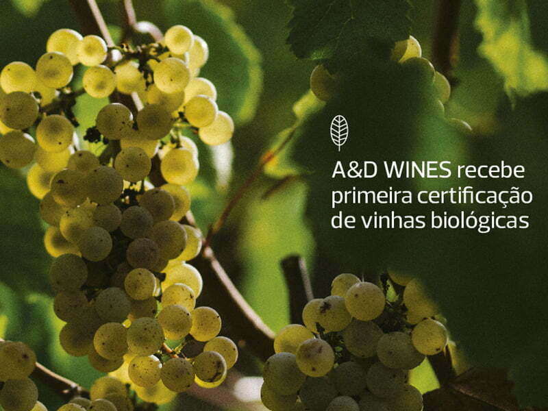 A&D Wines recebe certificação biológica da sua vinha na Quinta dos Espinhosos