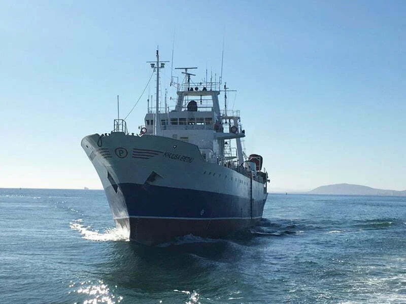 Nueva Pescanova compra sul-africana Unick Fish