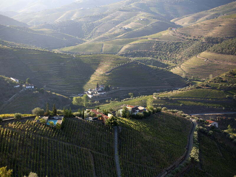 Quinta Vale D. Maria declara 2016 como ano de Porto Vintage