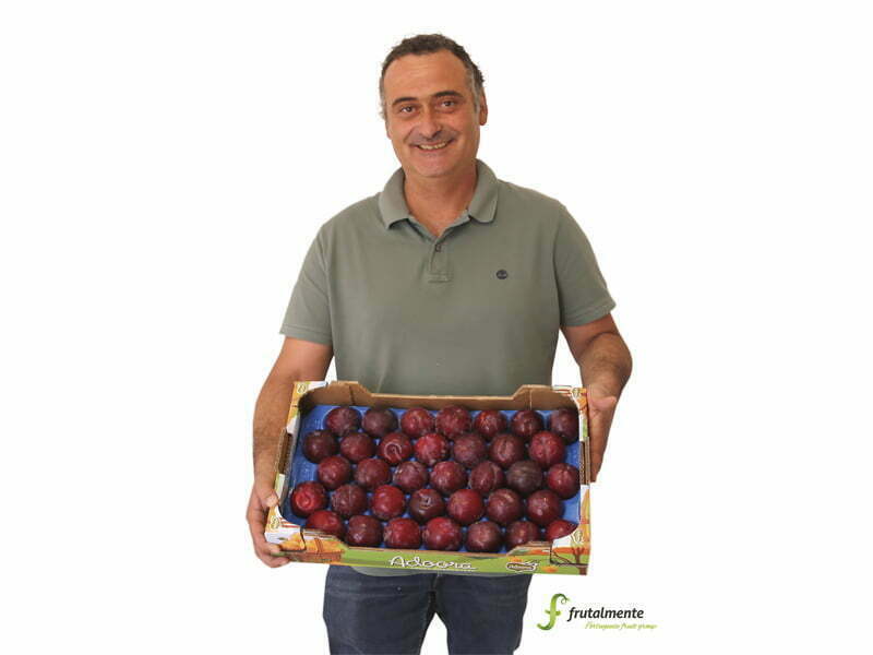 Frutalmente com um aumento de mais de 50% na produção em 2018