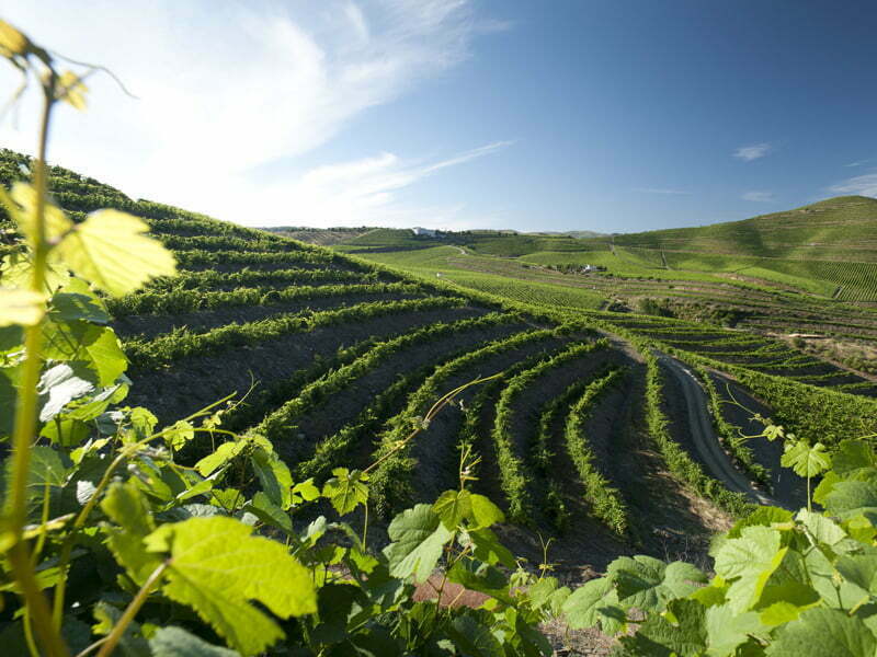 Casa Ferreirinha em destaque na Wine Spectator