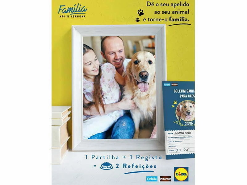 Lidl lança campanha de sensibilização contra o abandono de animais