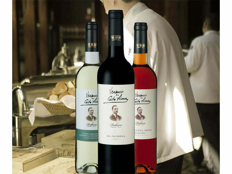 Venâncio da Costa Lima com vinhos exclusivos para o canal Horeca