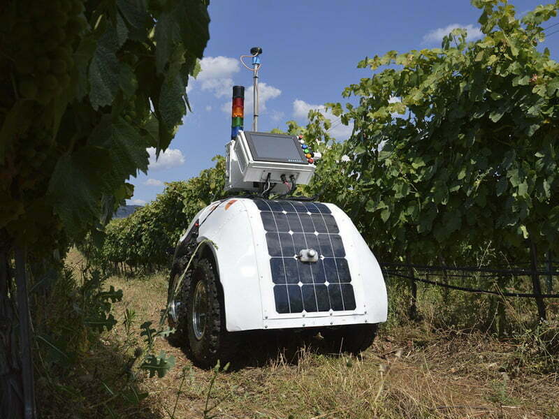 Projeto europeu de robot da vinha regressa ao Douro