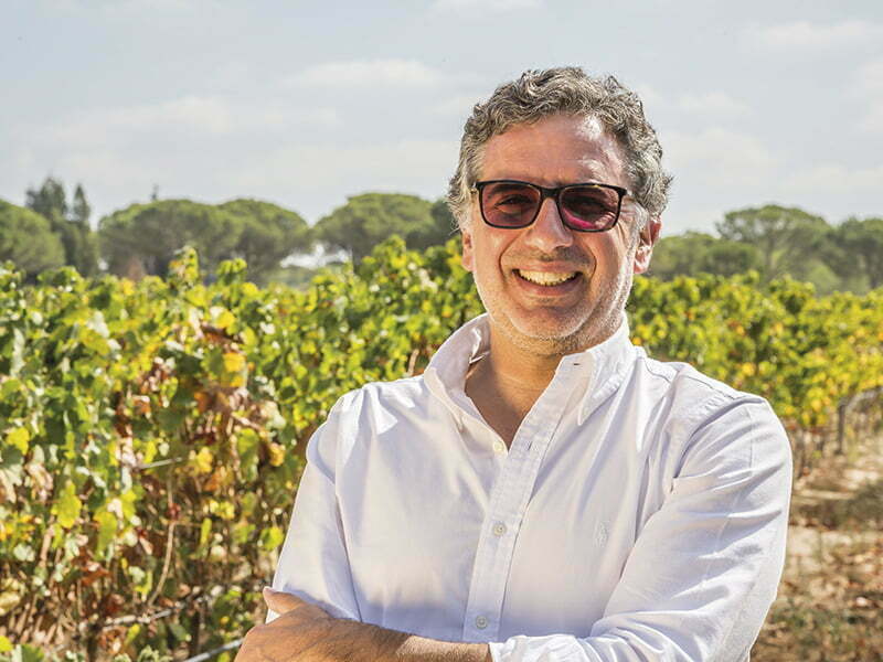 “Continuar a fazer crescer o valor e o preço médio dos vinhos deverão ser o principal objetivo nos próximos anos”