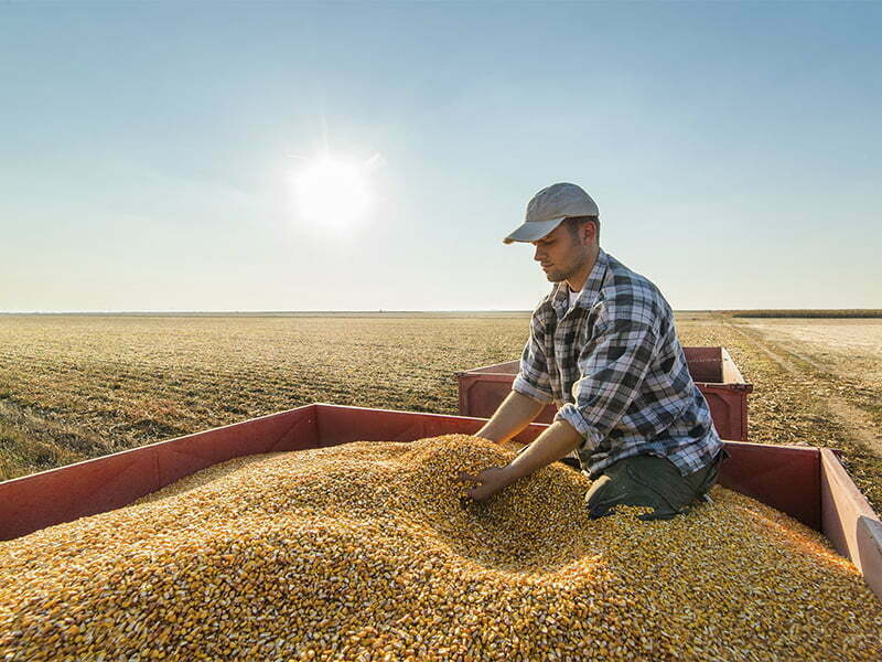 Preços dos alimentos baixam 5,4%