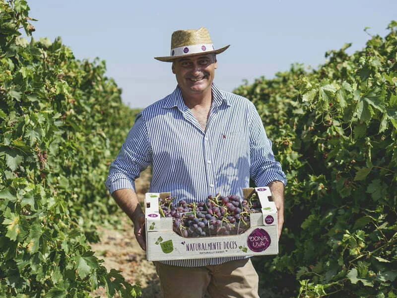 Dona Uva marca o início da colheita com apresentação de novo packaging